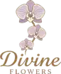 Divine Flowers