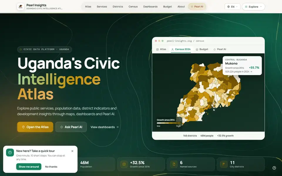 Pearl Insights website home page